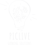 Piclive פתרונות פורחים